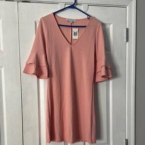 The Vanity Room Pink Ruffle Sleeve Dress